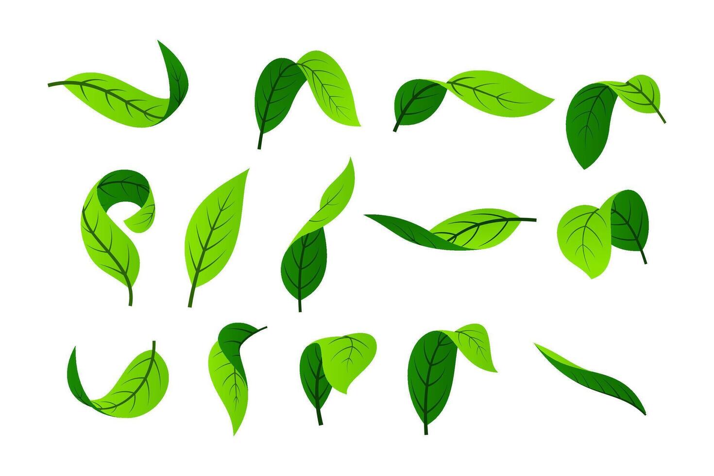 Green leaf . Leaves of trees and plants. Nature elements. vector