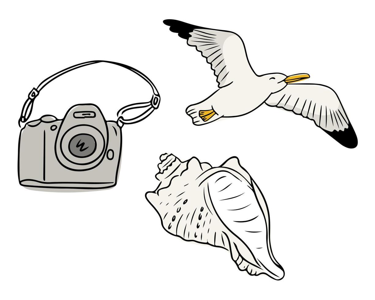 illustration of a camera, flying seagull and seashell on white background. Summer vacation and coastal exploration concept in a simple hand drawn style vector