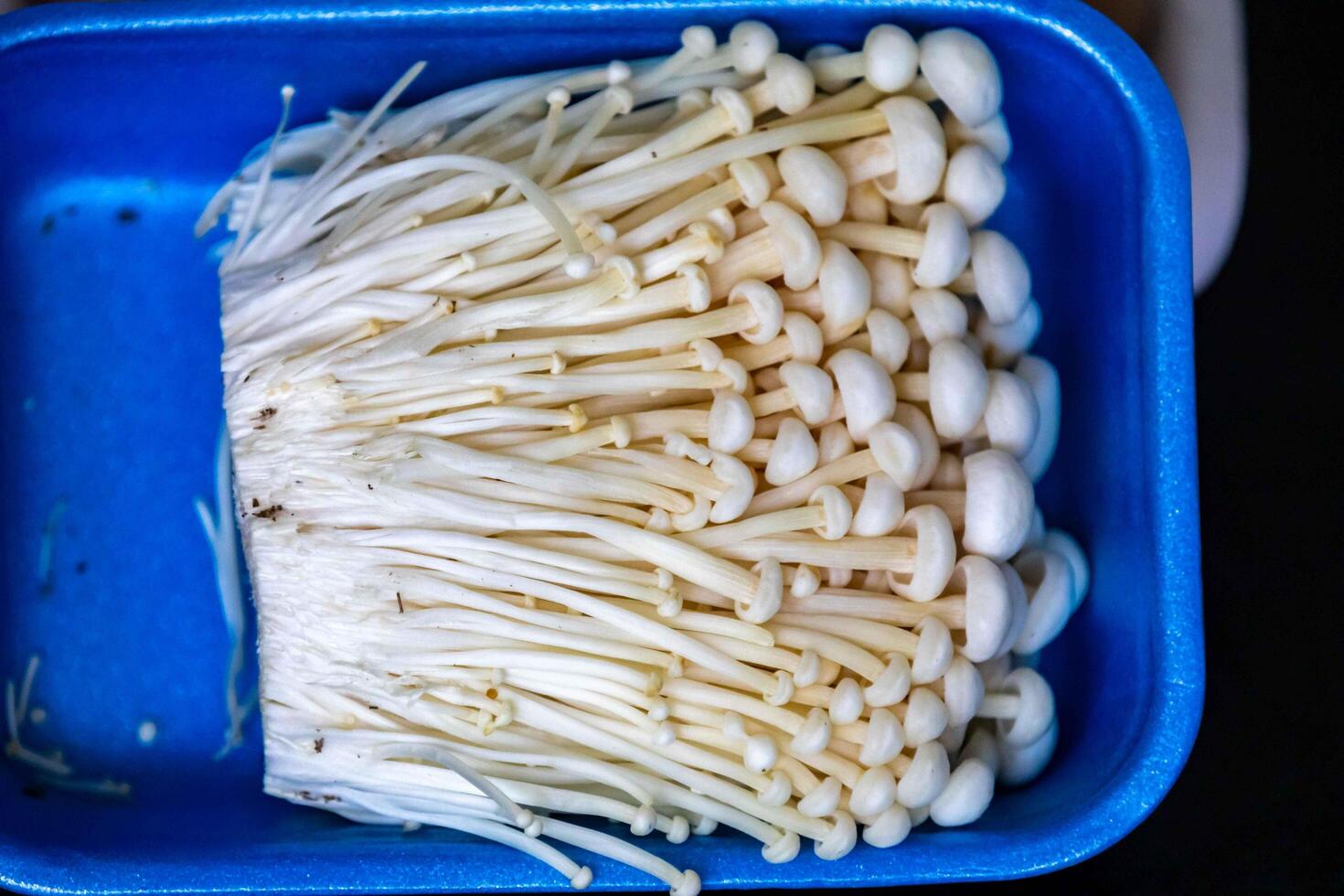 known as Enokitake, the Enoki mushroom Flammulina velutipes, is a variety widely used in oriental cuisine du cheff photo