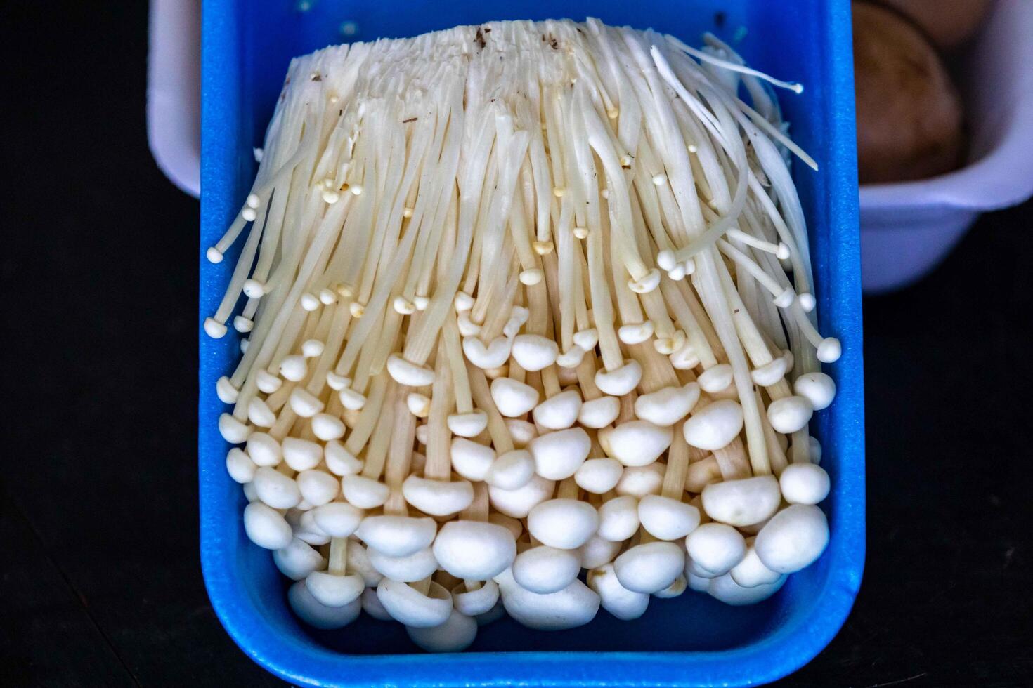 known as Enokitake, the Enoki mushroom Flammulina velutipes, is a variety widely used in oriental cuisine macro details photo