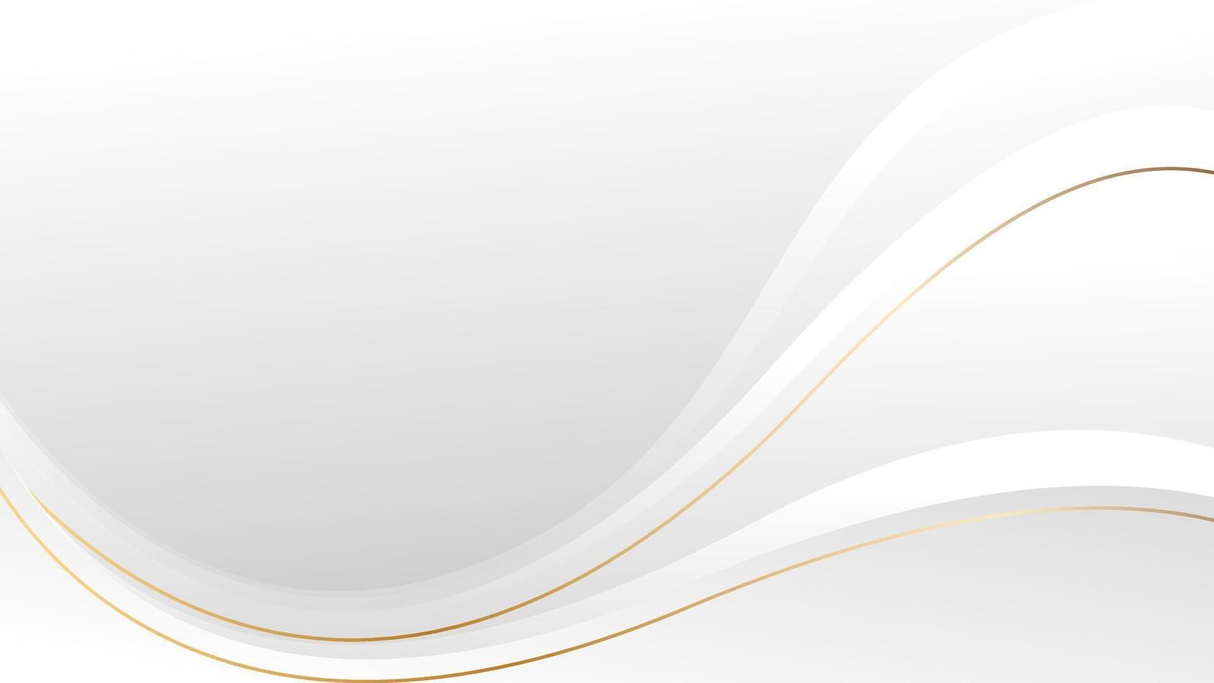 White-gray wave background with gold lines vector
