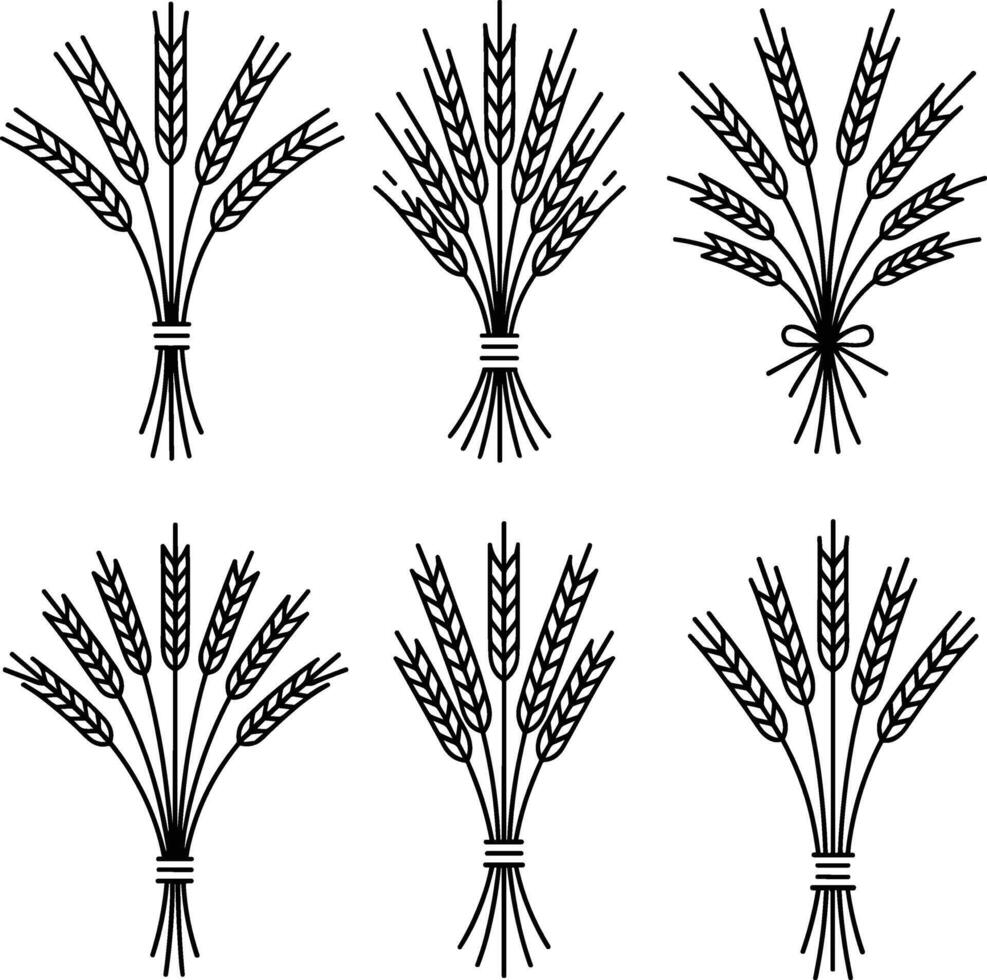 Set of Wheat Sheaf Line Art Vectors - Thanksgiving and Autumn Harvest Collection