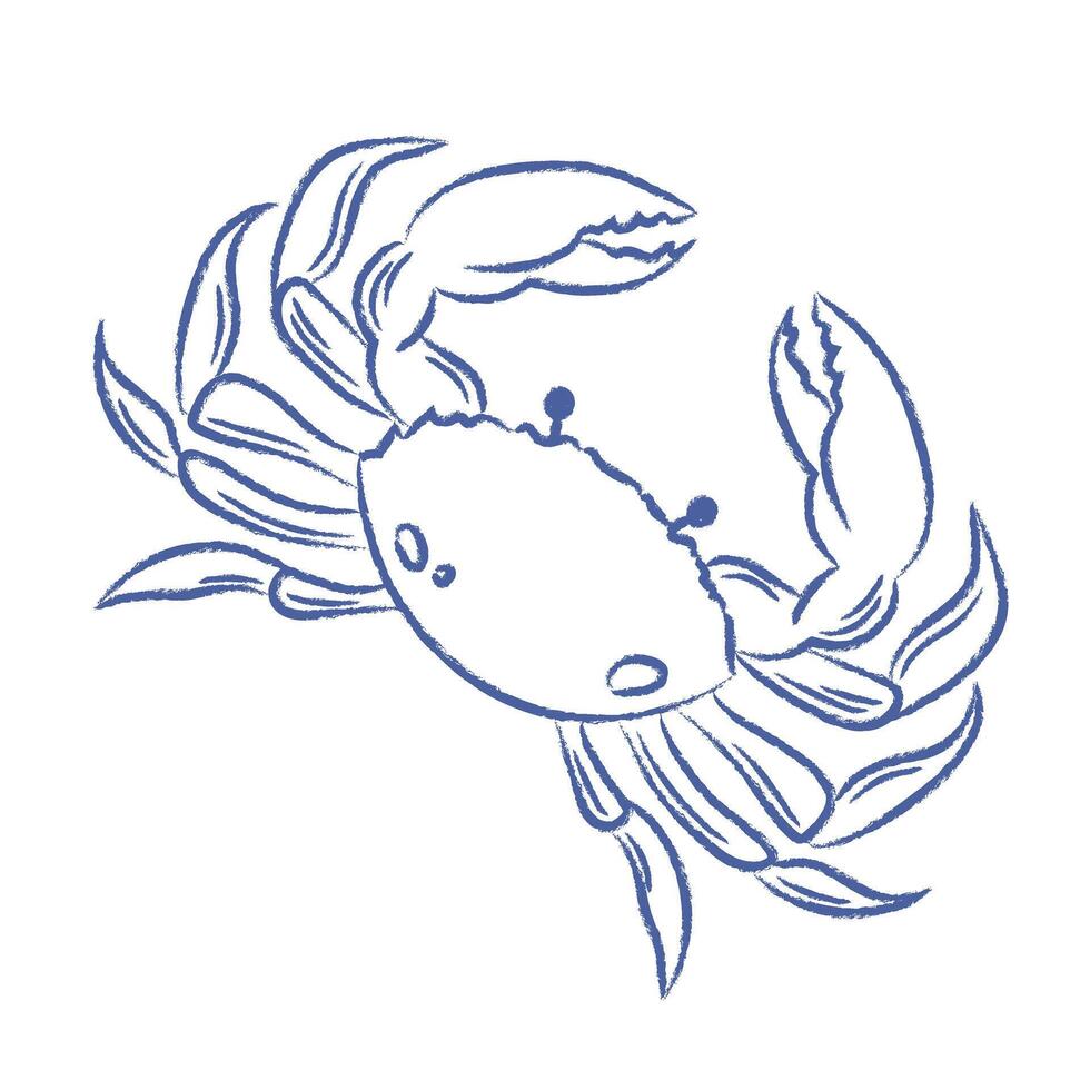 Sea crab . Doodle of marine animal with pencil texture, chalk. isolated element vector