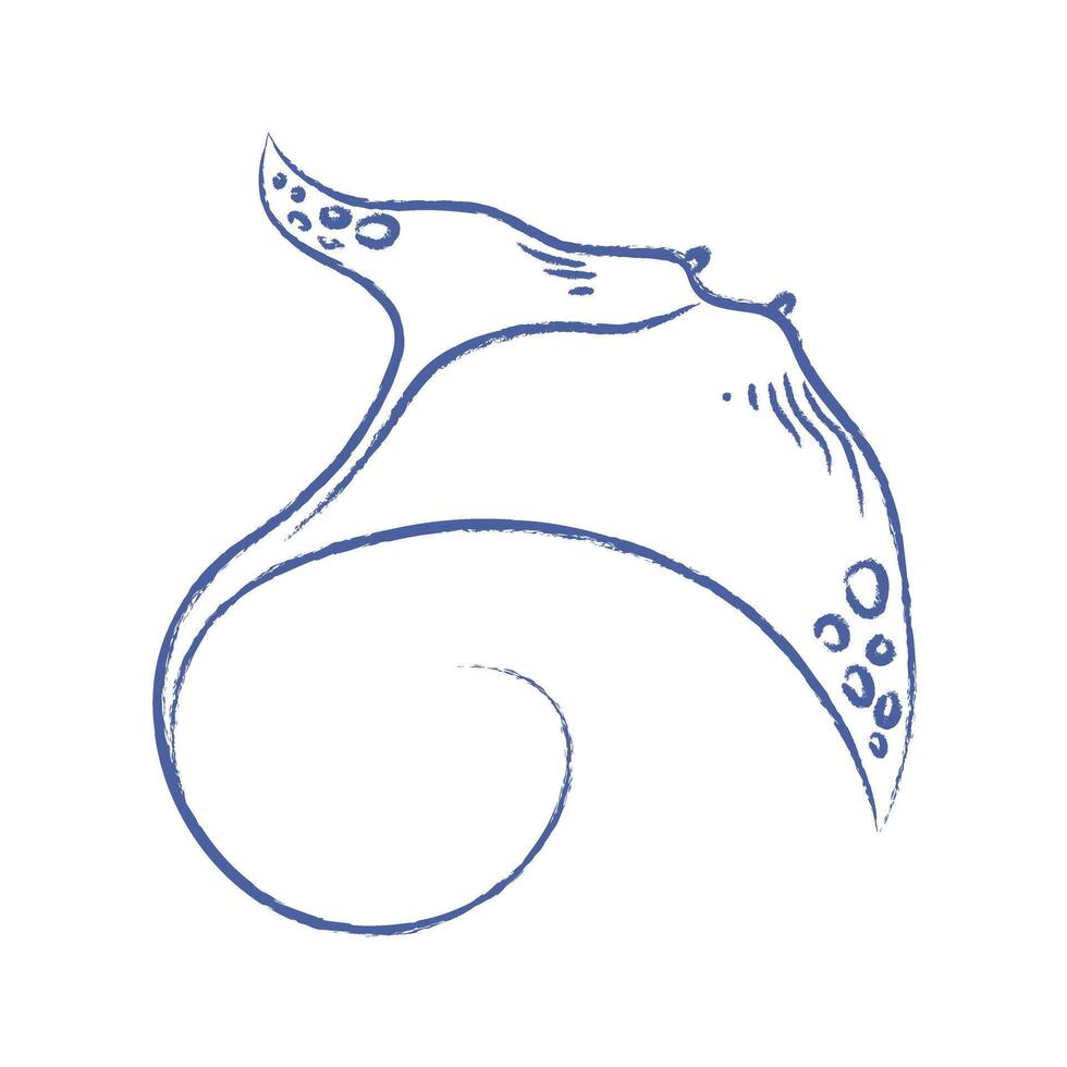 Sea stingray . Doodle of electric stingray with pencil, chalk texture. isolated element vector