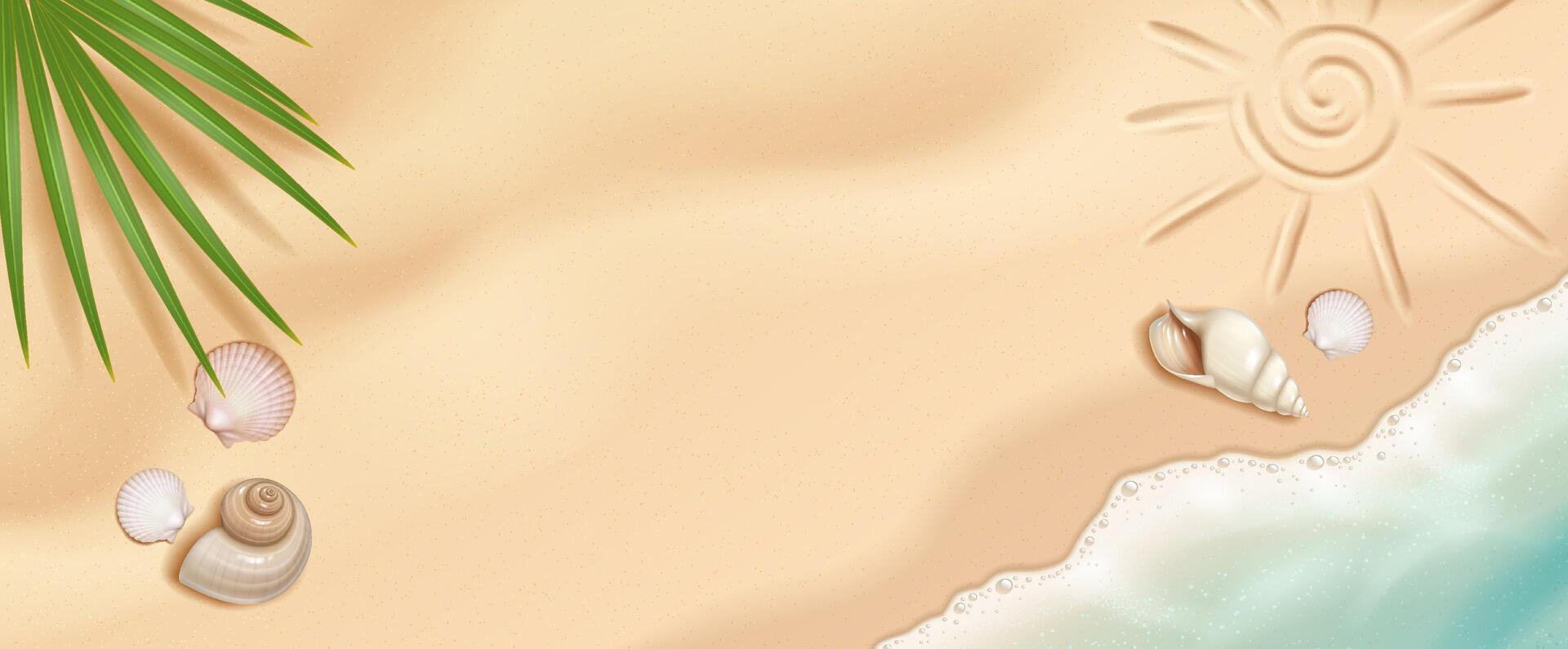 Illustration of a sandy beach with seashells and a sun drawing. Soft cream and green tones. Perfect for tropical themes and summer vacation designs. vector