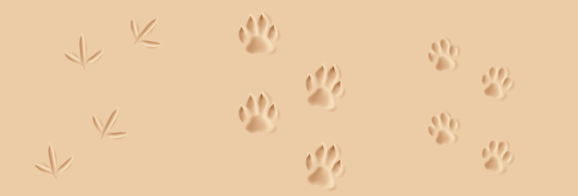 Illustration of animal and bird footprints embossed in soft sand. Warm beige tones create a natural feel. Ideal for naturethemed designs and backdrops. vector