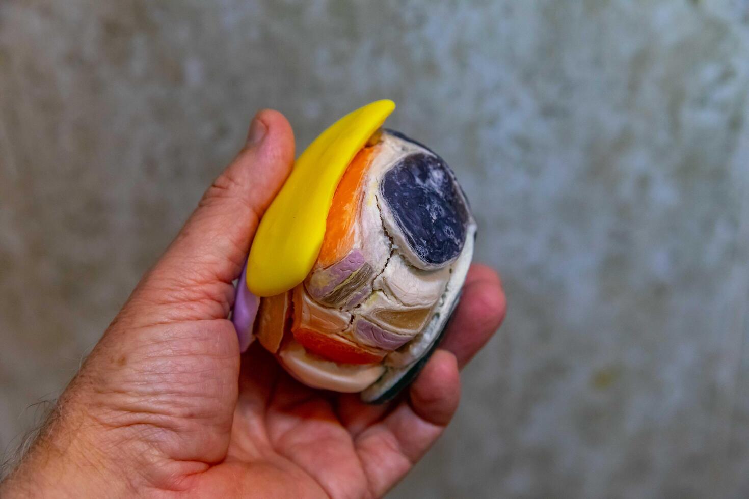 Ball with agglomeradod for soaps used for use and economy, anti -decarction, creativity 2025 photo