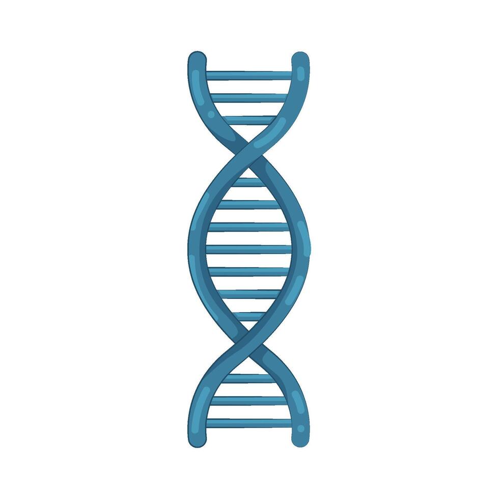 Illustration of a Human DNA vector