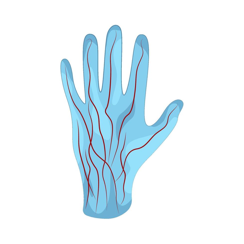 Illustration of vein pattern vector