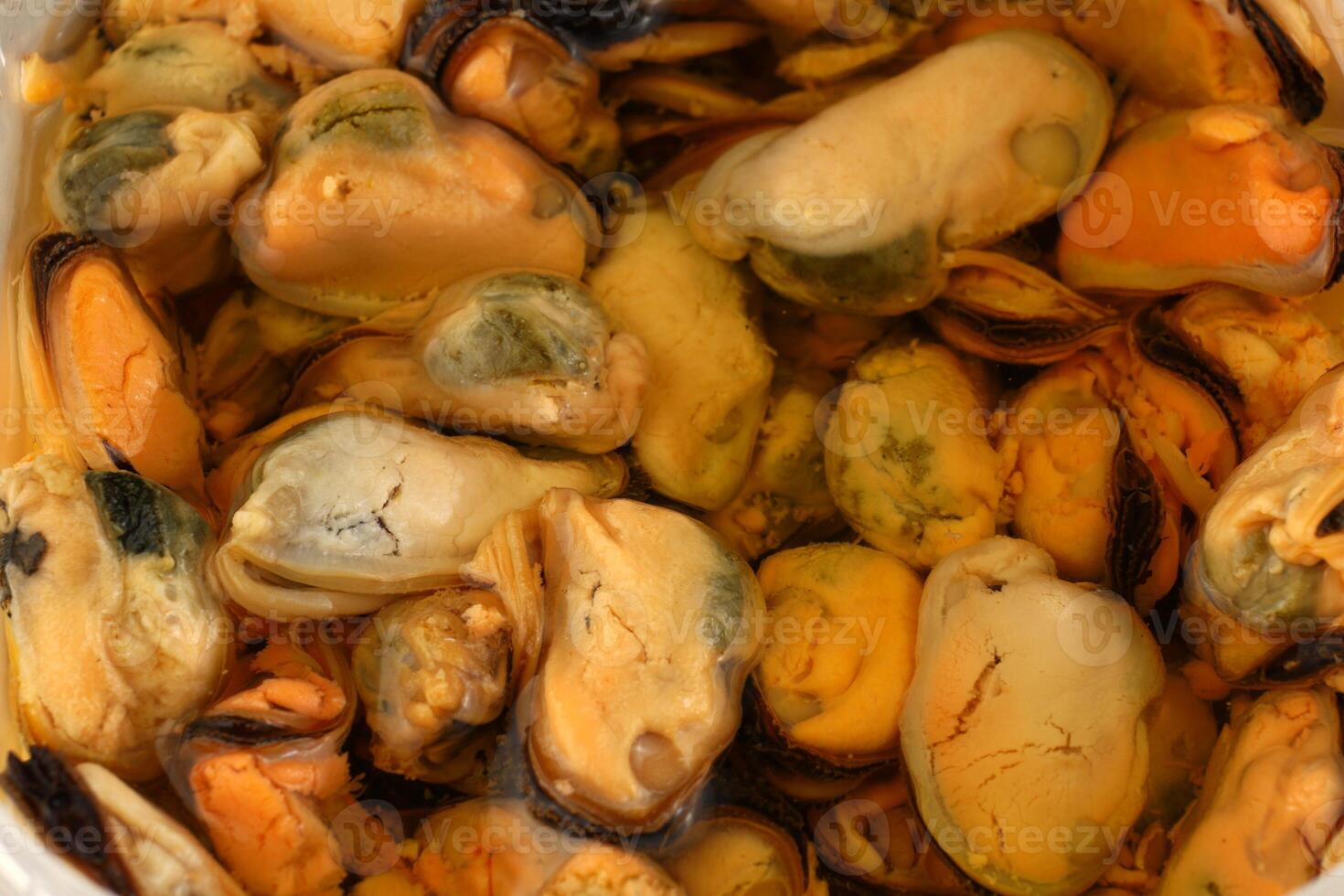 A close up of mussels in a container photo