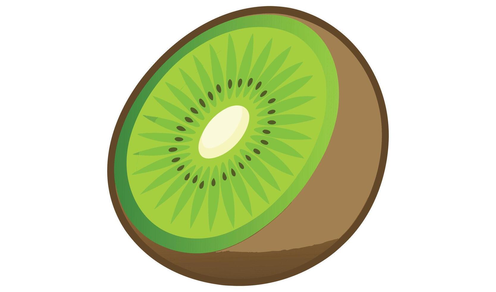 Kiwi fruit slice isolated on white background, a healthy tropical food vector