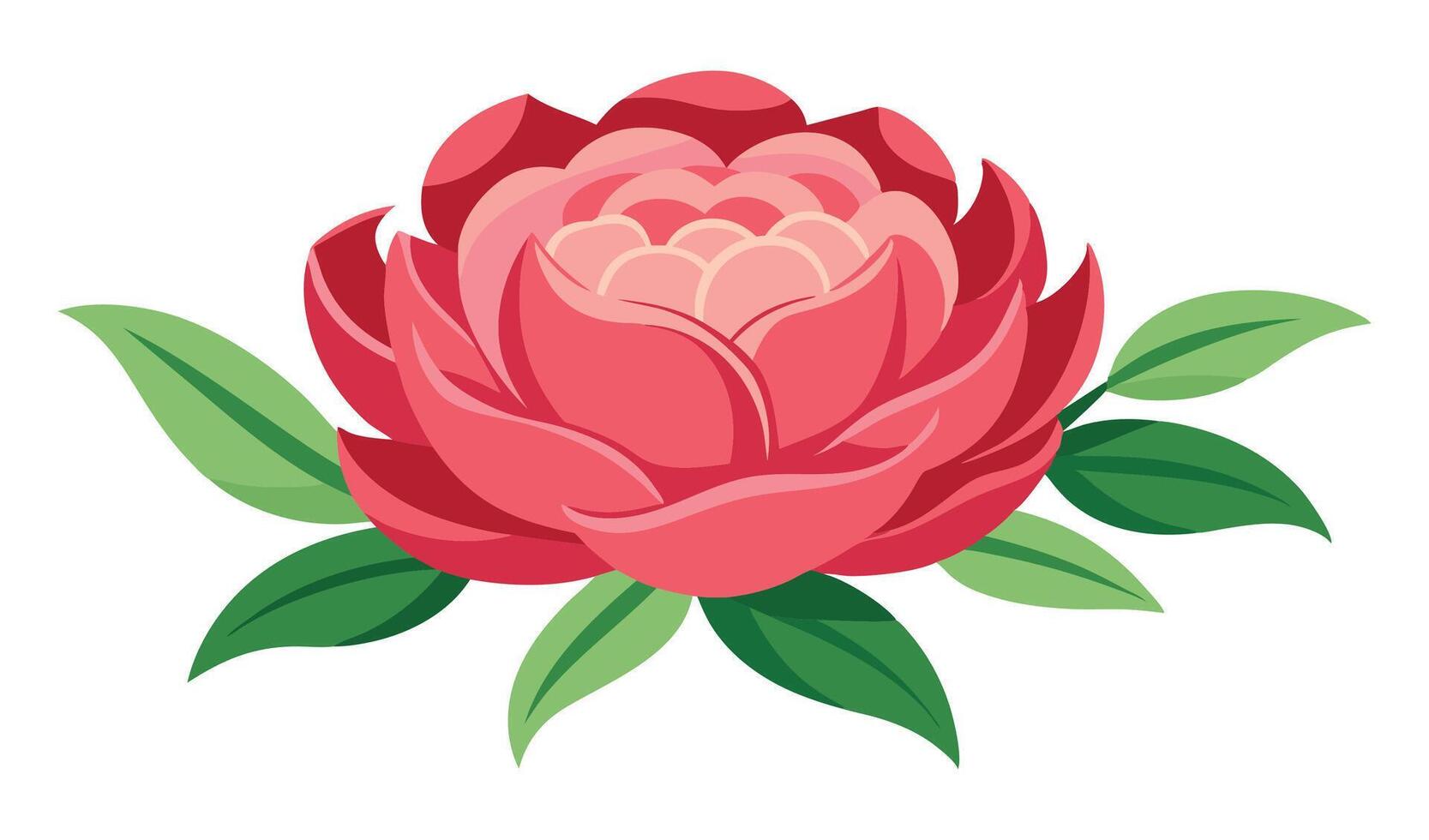 Pink flower blossom isolated on white background vector