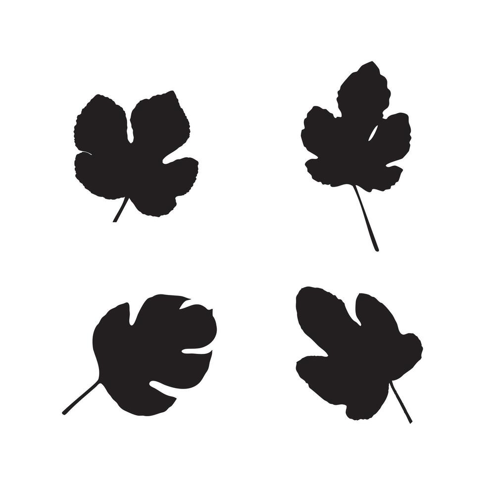 Fig Leaf Silhouette Set Flat Illustration Design of Fig Leaves for Graphic and Decorative Use vector