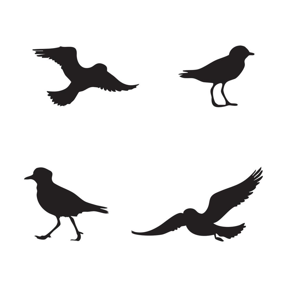 Flying Plover Bird Silhouette Set Flat Icon Collection of Bird Silhouettes Isolated on White Background vector