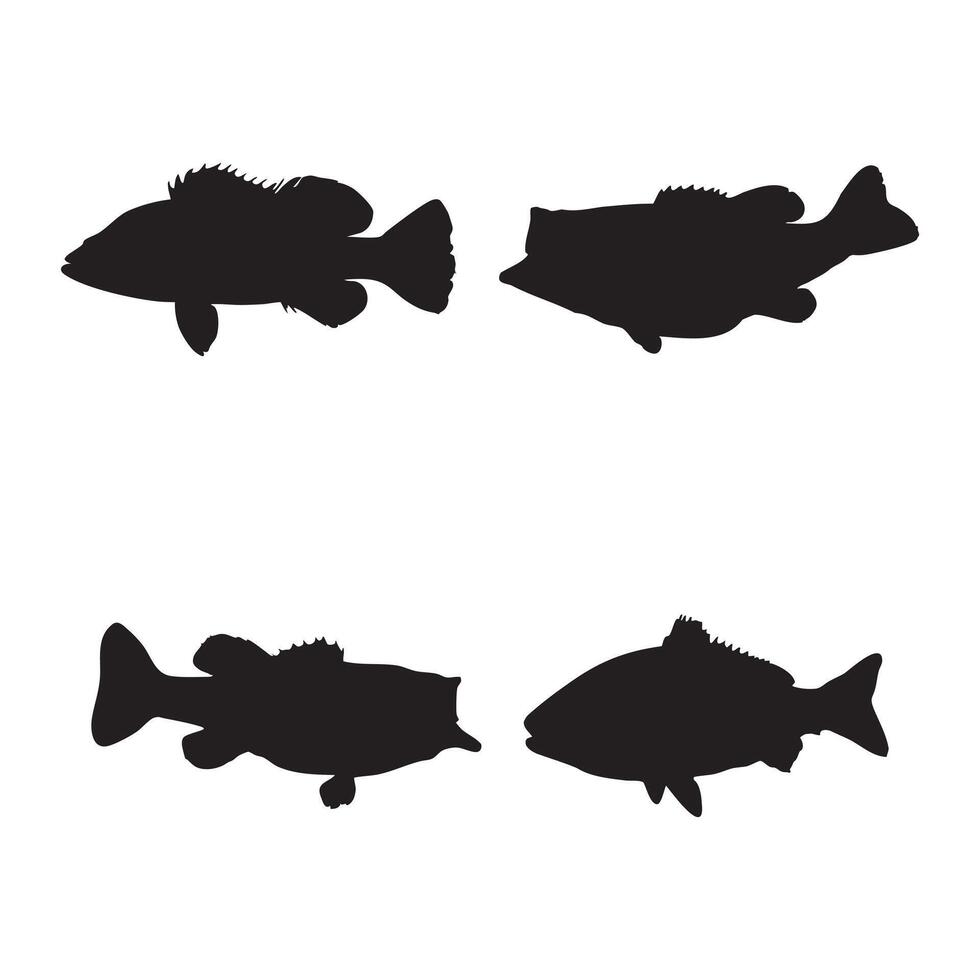 Seabass and Barramundi Fish Silhouette Set Black Marine Fish Icons Isolated on White Background vector