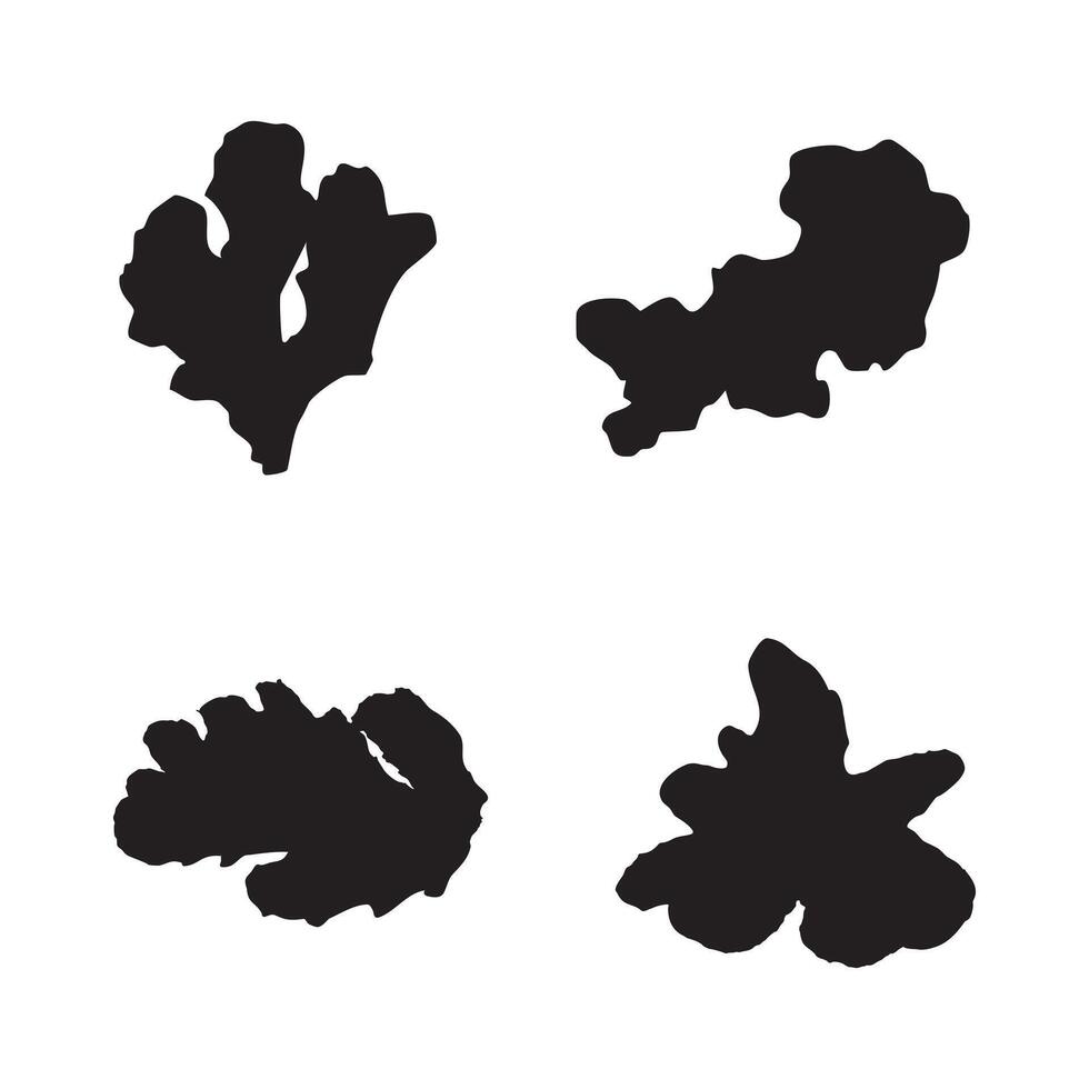 black ginger icon silhouette set. black silhouettes of ginger roots, perfect for a culinary or botanical design. art white background. ginger root silhouette set black icons for culinary vector