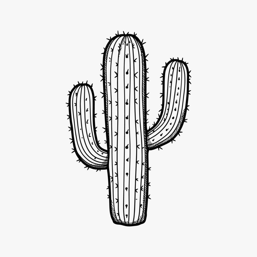 a black and white hand drawing of a cactus vector