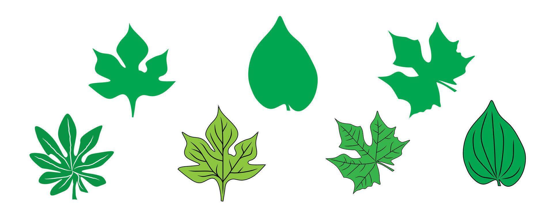 Collection of Illustrative Green Leaves Featuring Various Shapes and Styles vector