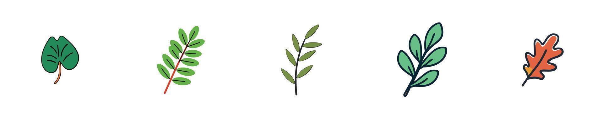 Set of Different Green Leaves vector