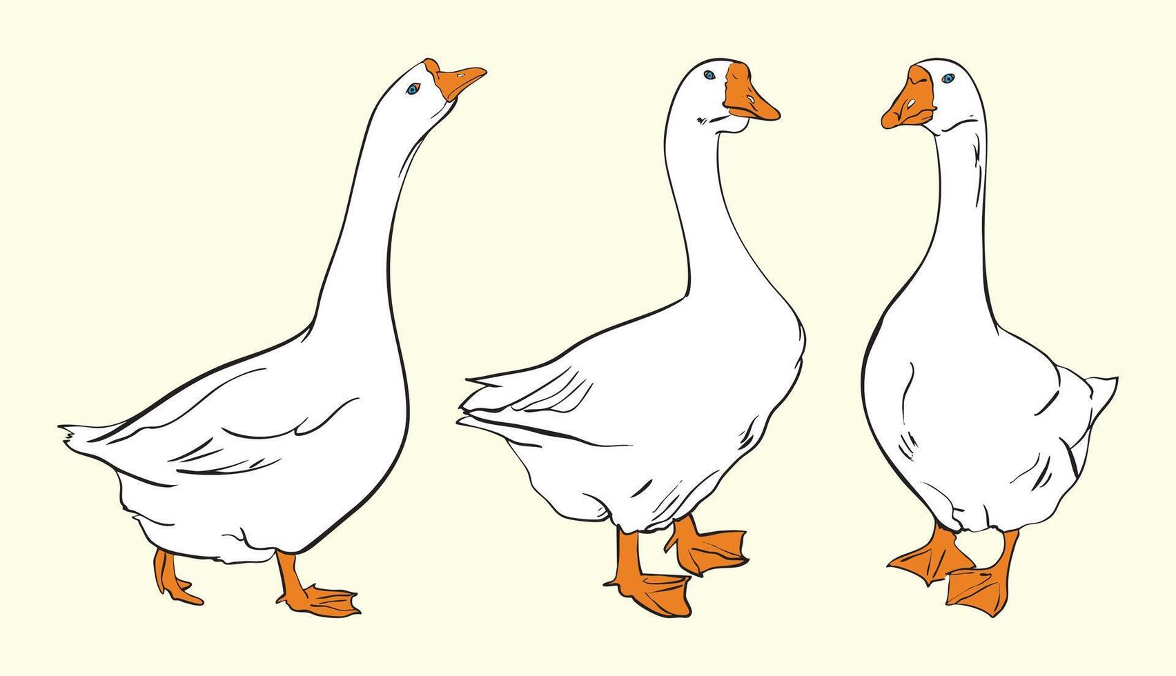 Set of Goose Illustrations vector