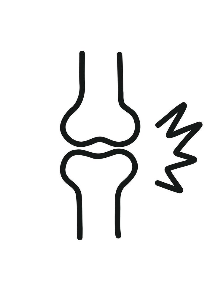 knee joint anatomy, illustration for orthopedics topic vector
