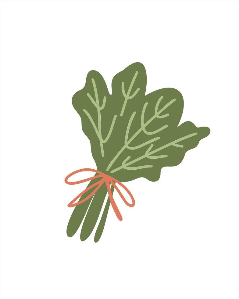 Spinach leaves as a source of vitamins and natural energy vector