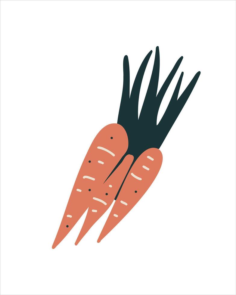Fresh carrots with greens as a symbol of vitamins and nutrition vector