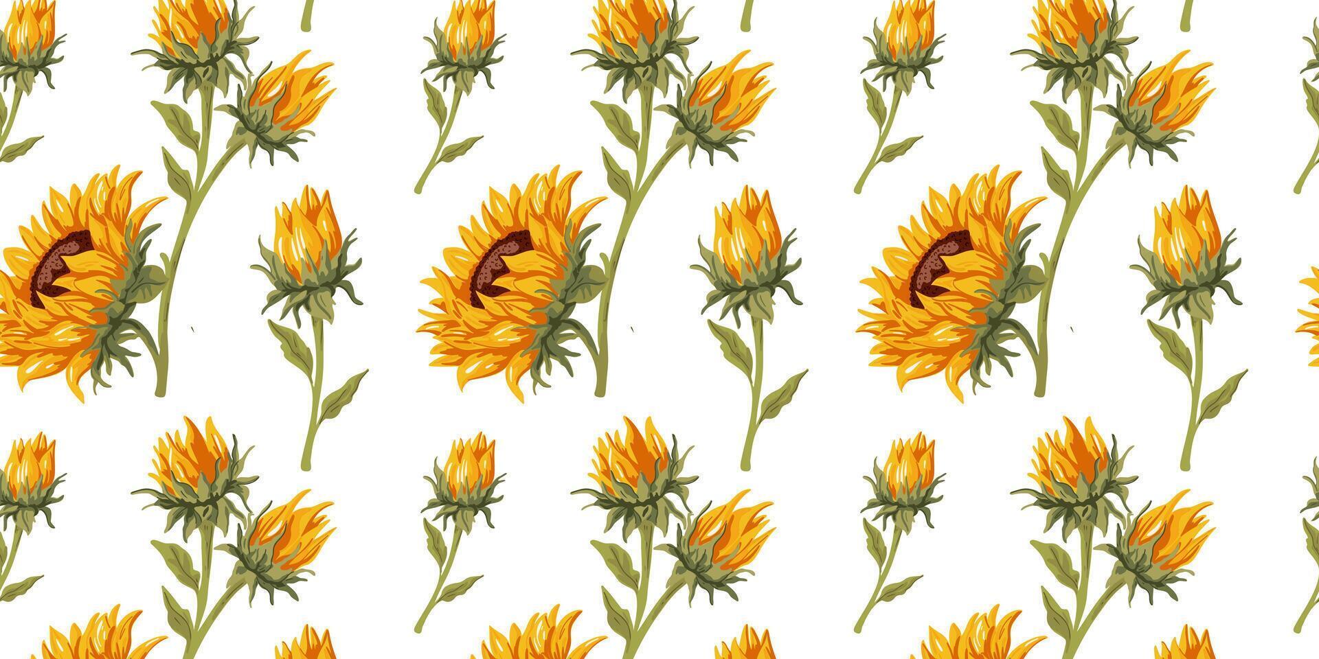 Beautiful seamless pattern with sunflower on a white background vector