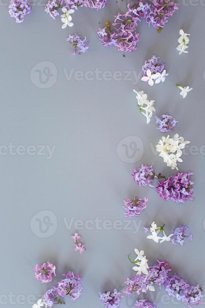 Lilac composition top view on gray background with empty space photo