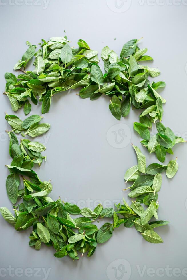 Fresh green mint with water drops on a neutral background . photo