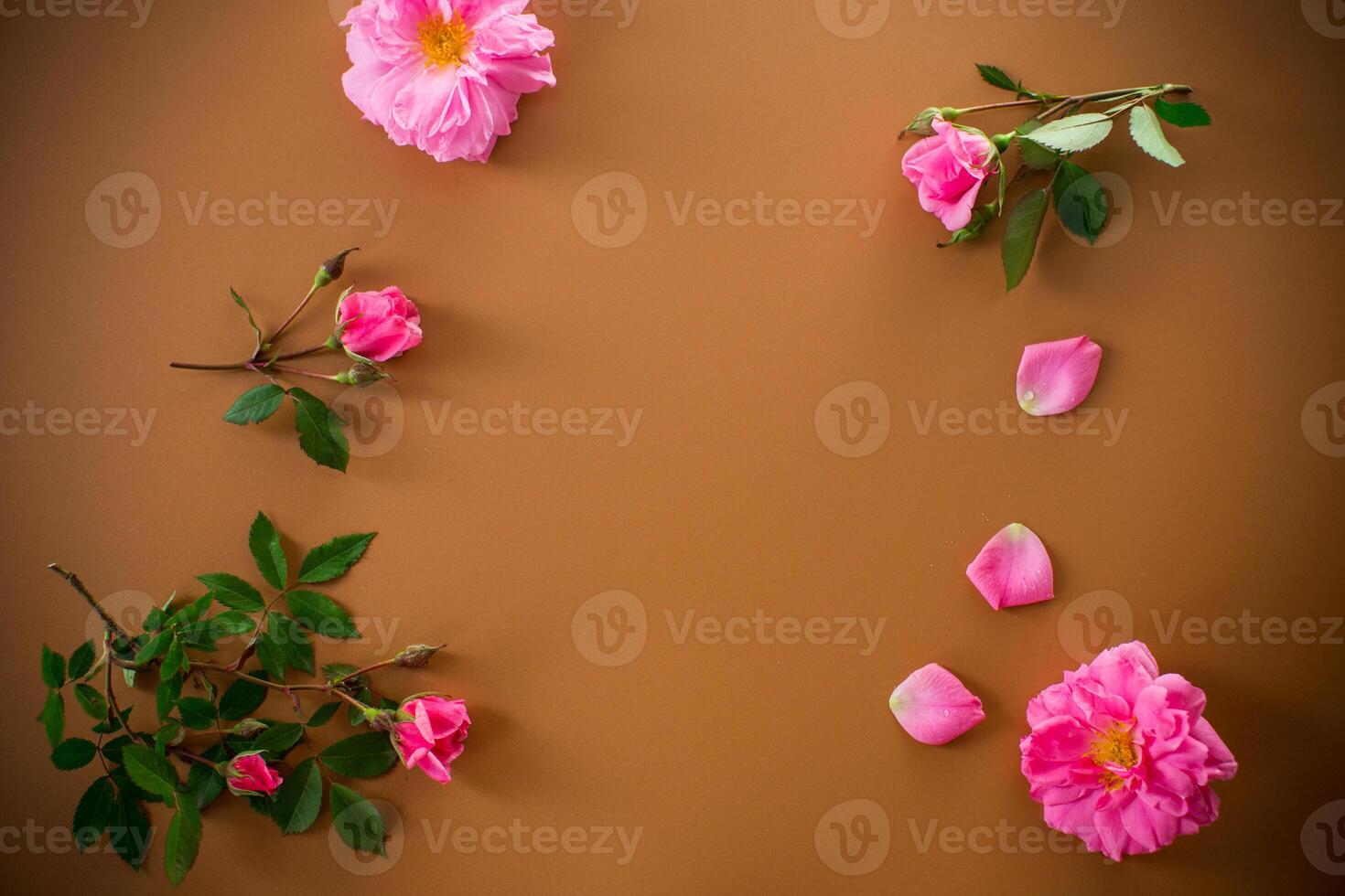 Minimalist garden rose arrangement on brown background photo