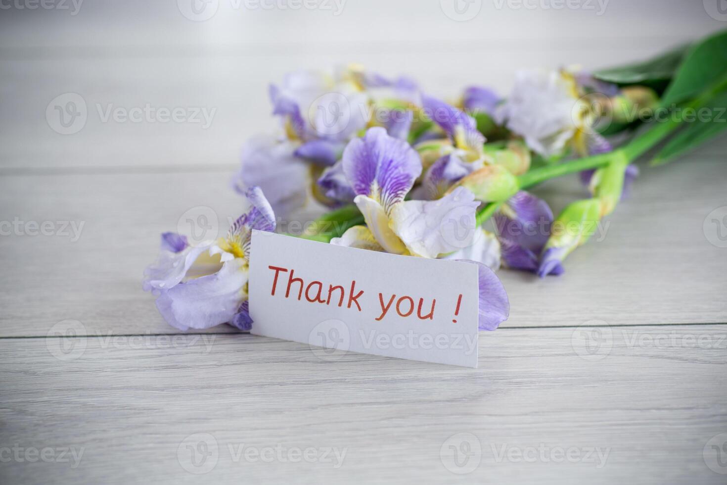 Spring irises in a minimalist composition with gratitude photo