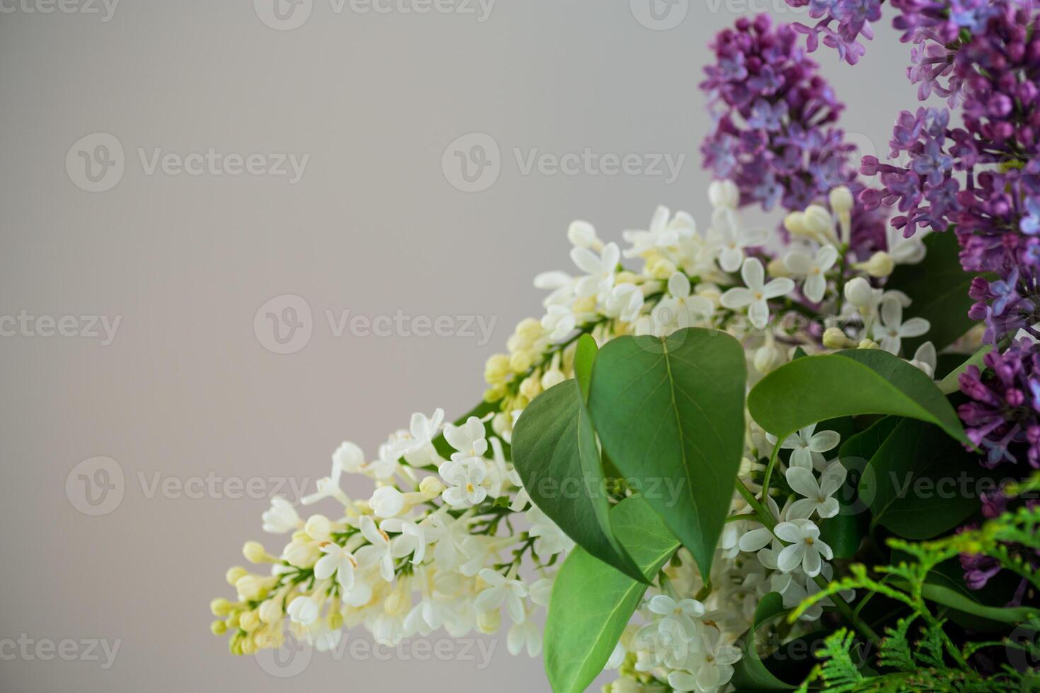 Elegant floral arrangement of lilacs on a gray background . photo
