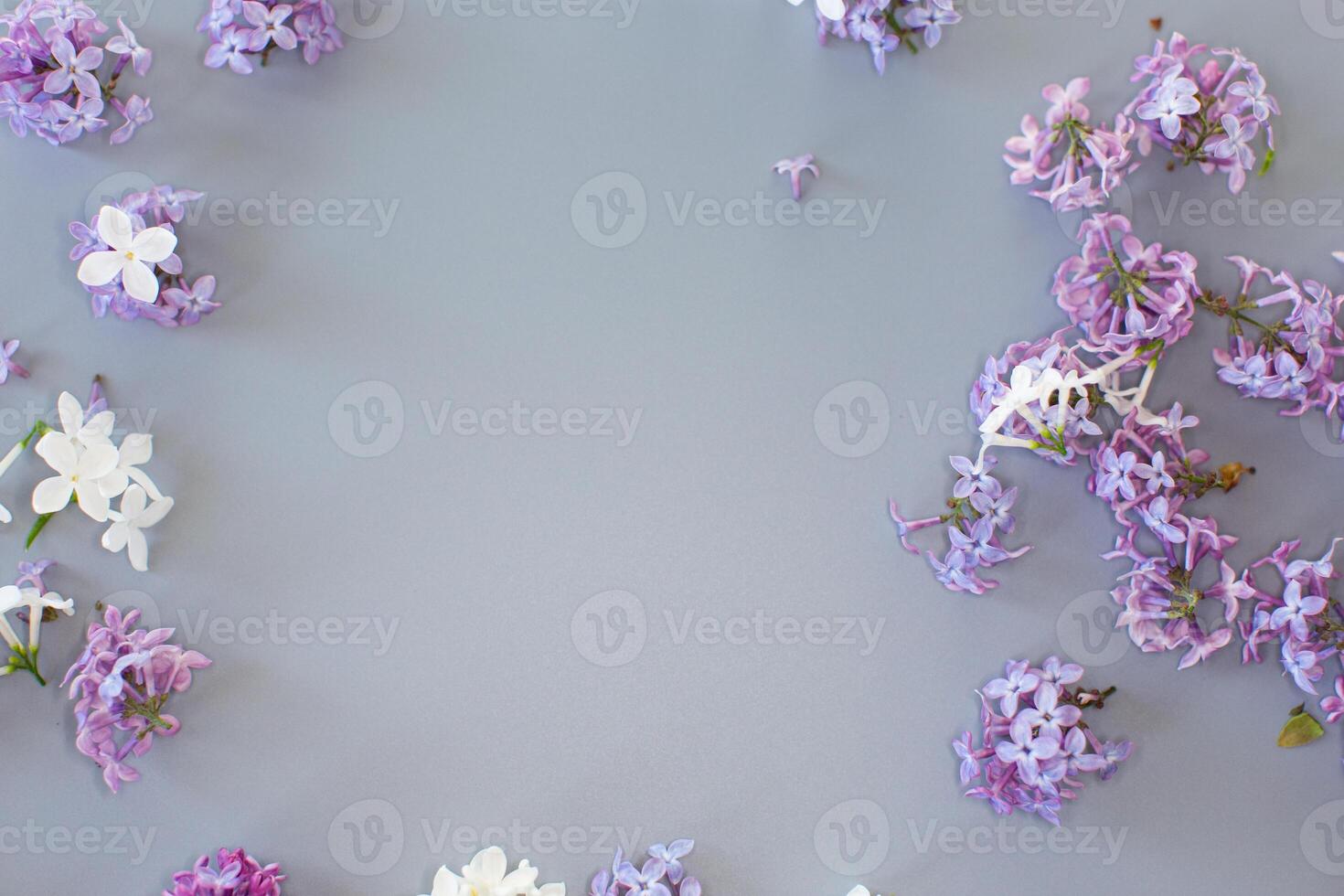 Romantic lilac bouquet on gray background photo