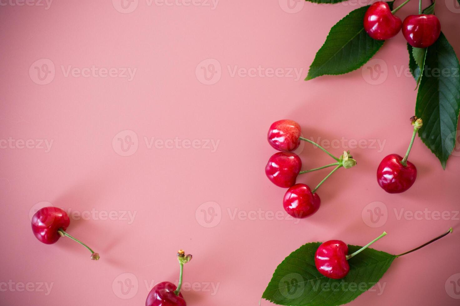 Ripe red cherries on pink background from above. photo