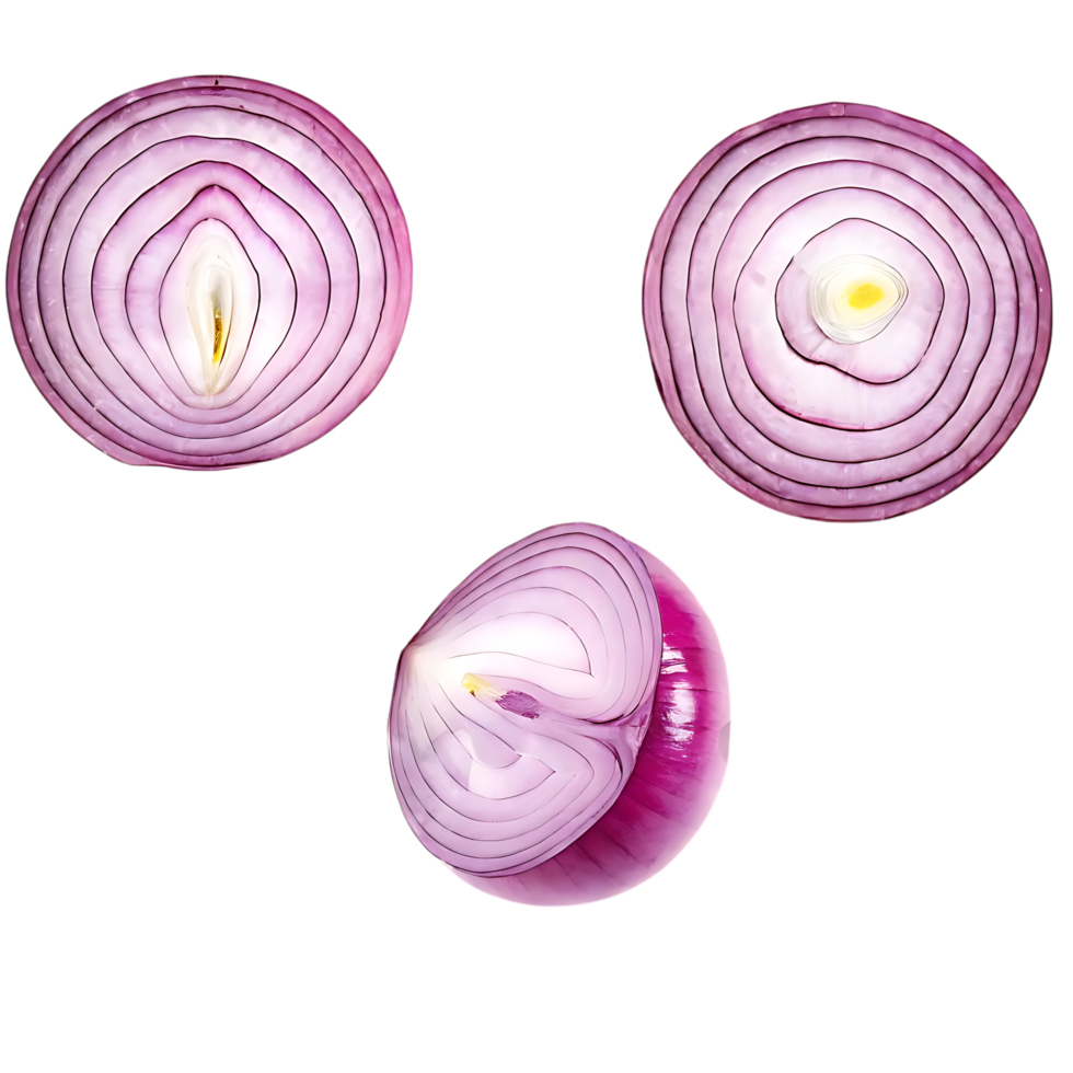 Three Sliced Red Onions with Texture on transparent Background png
