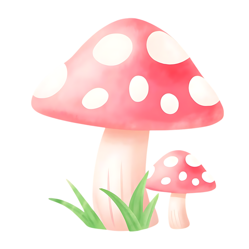 Two Pink Mushrooms with Green Grass on transparent Background png