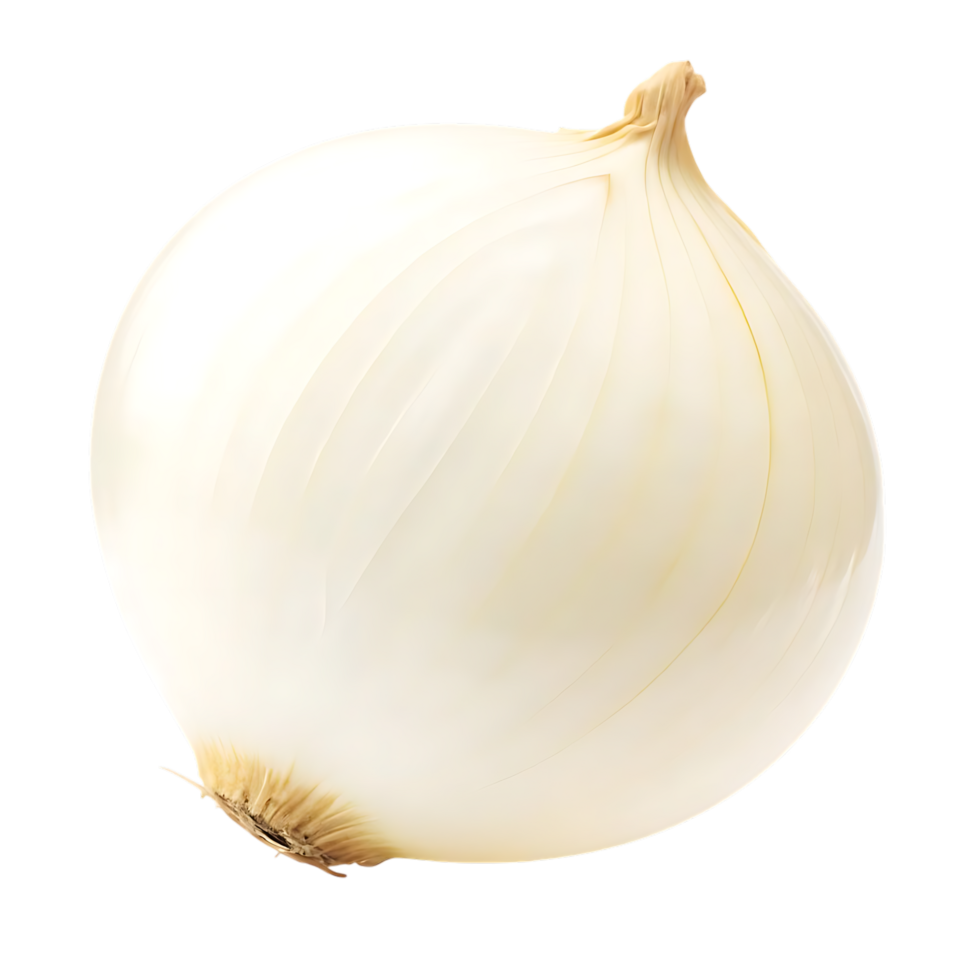 White Onion Bulb Isolated on transparent Background for Culinary Use png