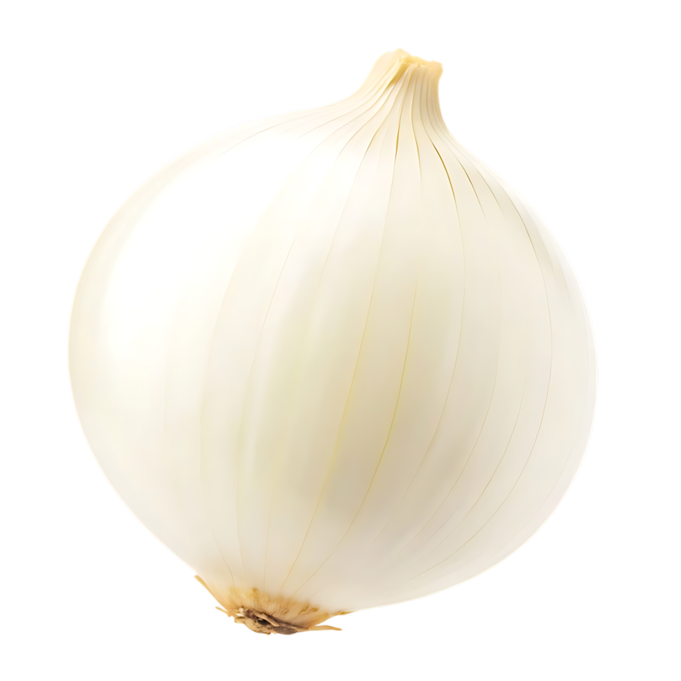 Whole White Onion Isolated on transparent Background for Cooking Use png