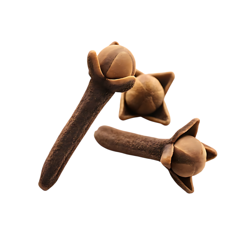 Macro Photography of Three Cloves on transparent Background png