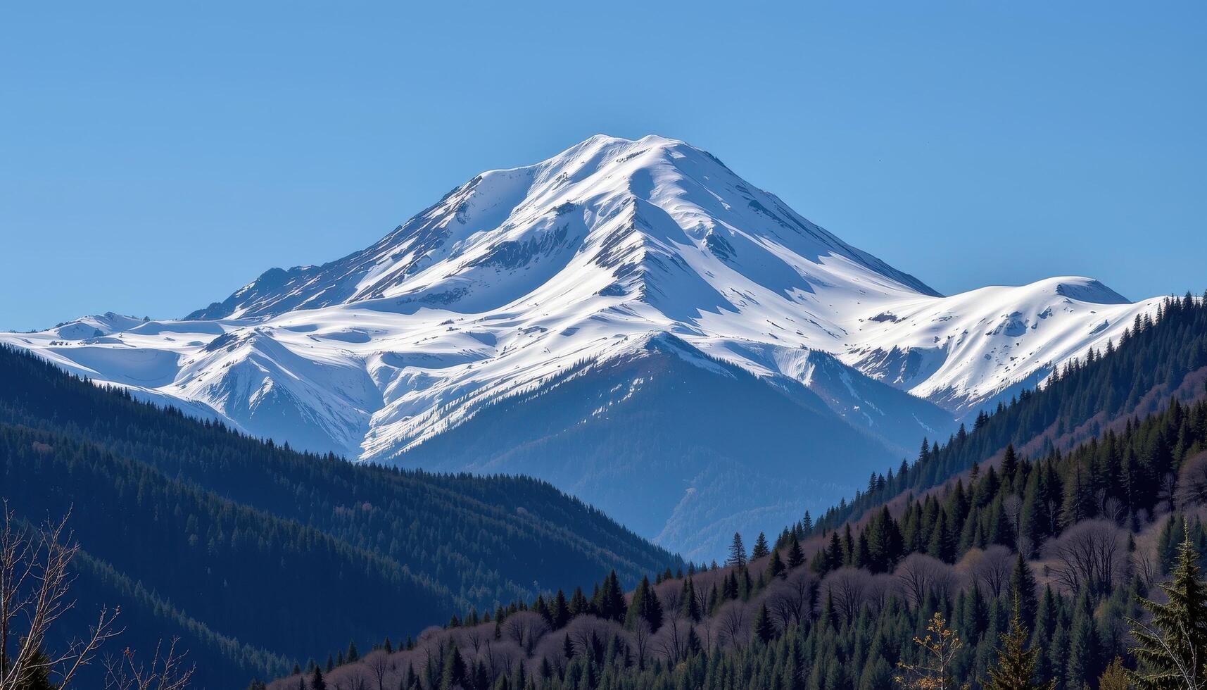 a snow capped mountain peak towering above a dense forest under a clear blue sky. photo
