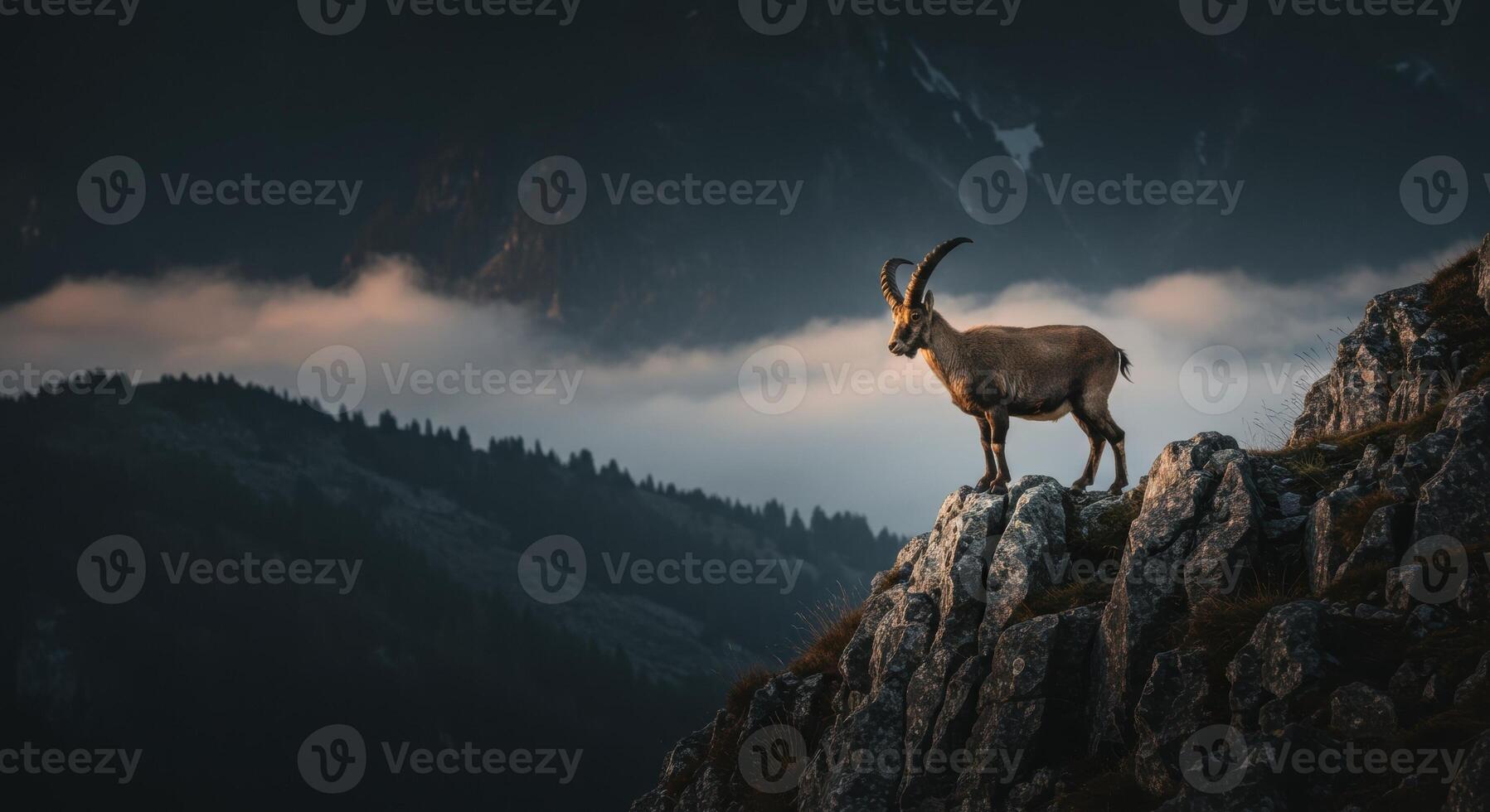 Majestic Ibex Standing on a Rocky Mountain Cliff at Golden Hour with Dramatic Sky photo