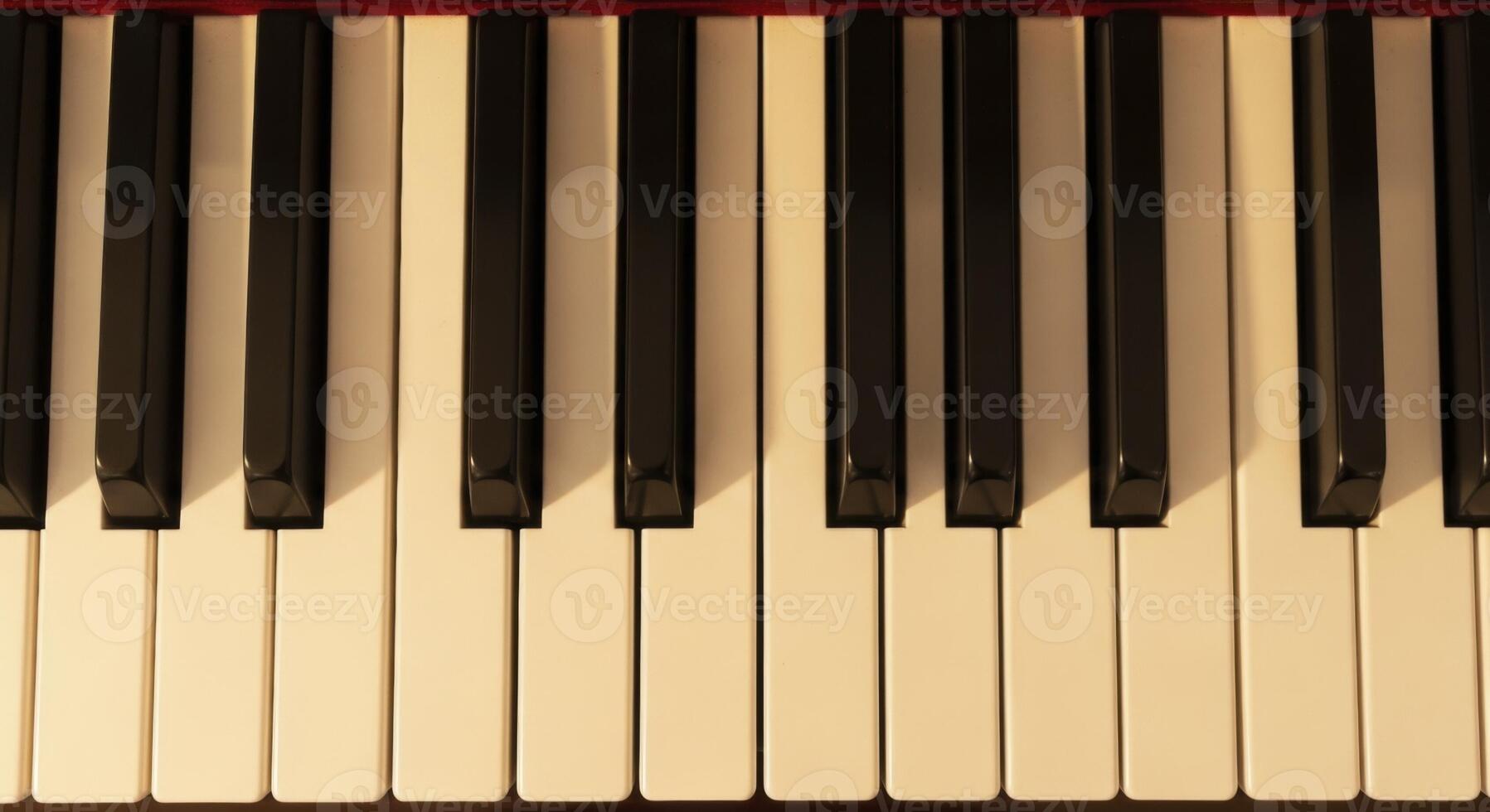 Close up view of black and white piano keys on a musical instrument keyboard photo