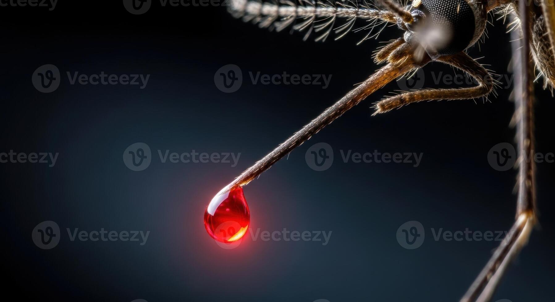 Macro view of a mosquito proboscis with a glowing red blood drop at its tip photo