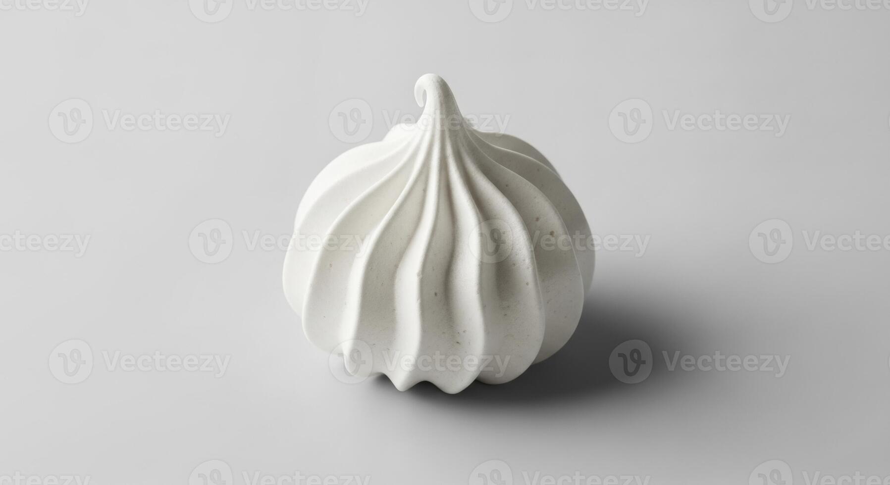 High quality studio photograph of a single white meringue cookie with a swirl pattern photo