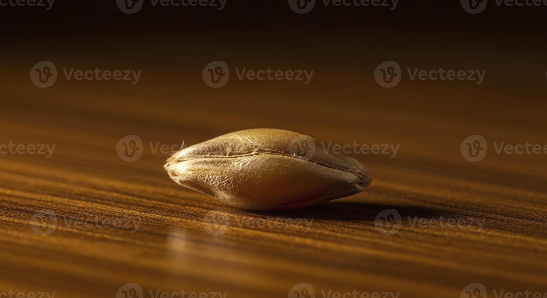 Macro shot of a single golden barley grain resting on a dark wooden surface photo