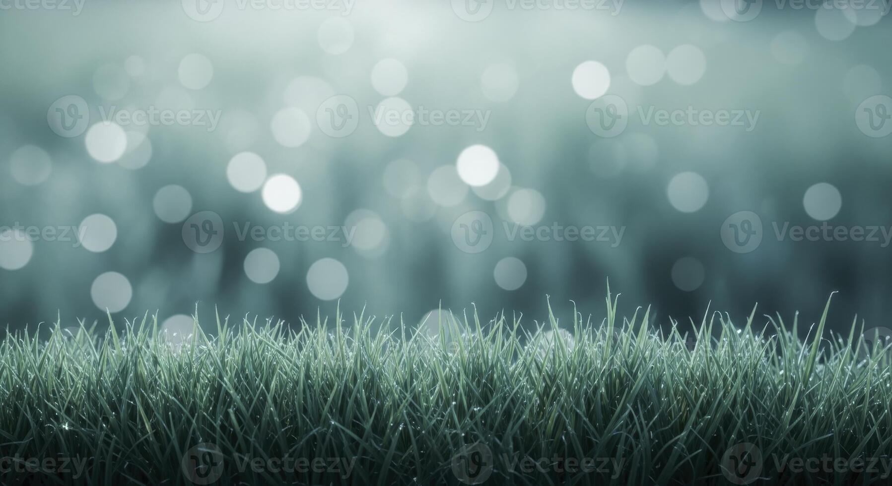 Lush Green Grass with Sparkling Dew Drops and Soft Bokeh Light Background photo