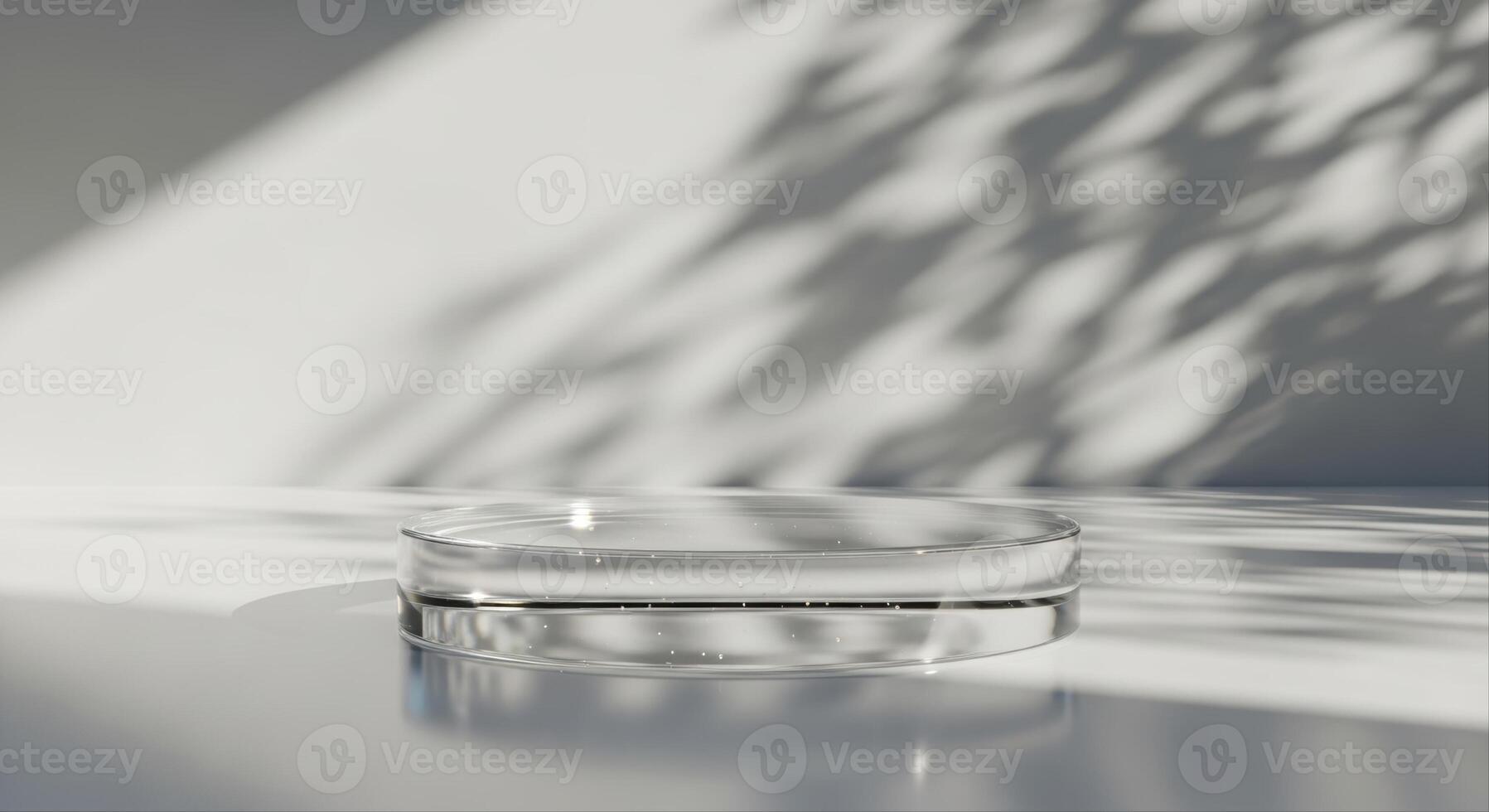 Transparent circular glass podium on glossy light grey surface with natural light and leaf shadows. photo