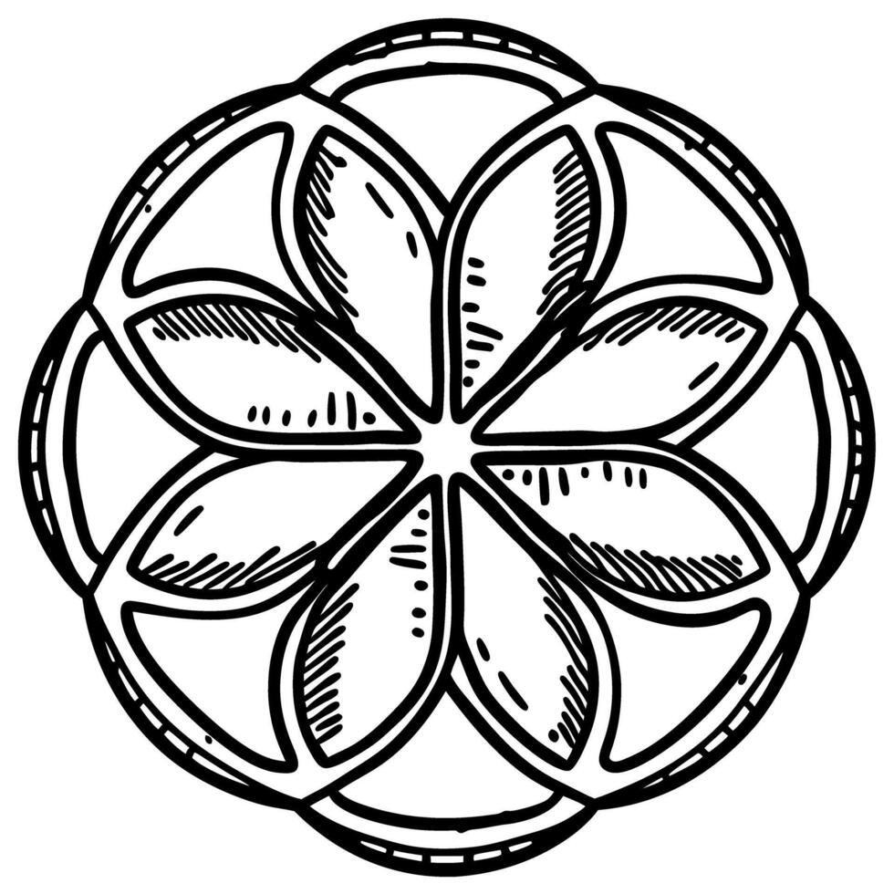 Geometric floral mandala, symmetrical black and white line art pattern, circular abstract design element vector