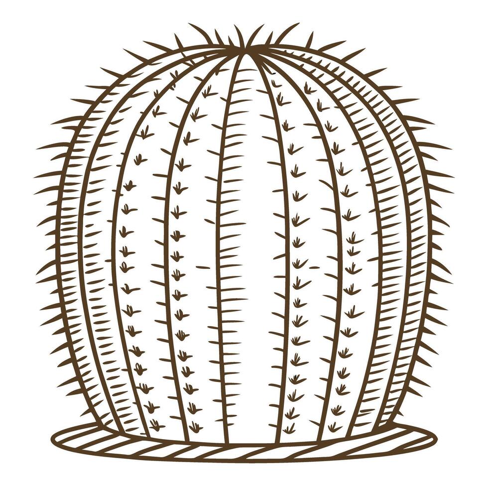 Round cactus outline drawing with spines desert succulent plant, minimal hand drawn illustration, botany design vector